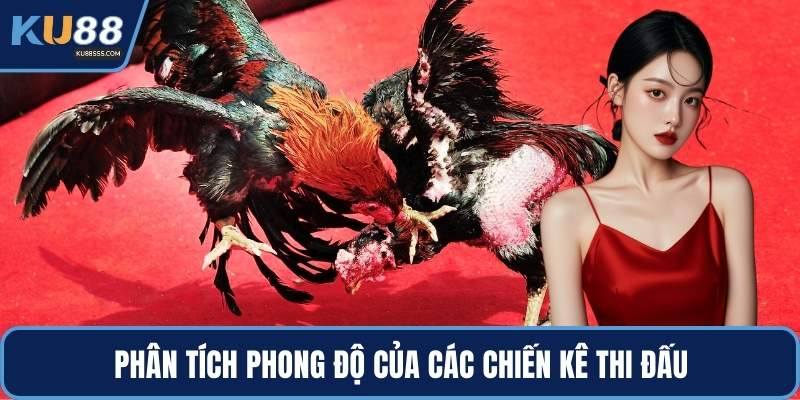 Phân tích phong độ của các chiến kê thi đấu